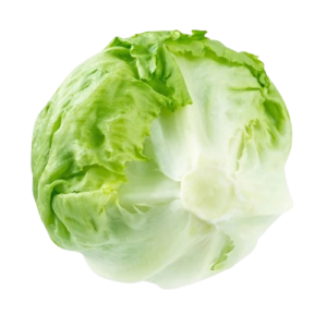 Fresh Iceberg Lettuce (Farm-fresh iceberg)