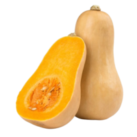 Fresh Butternut Squash (Farm-fresh Butternut Squash)